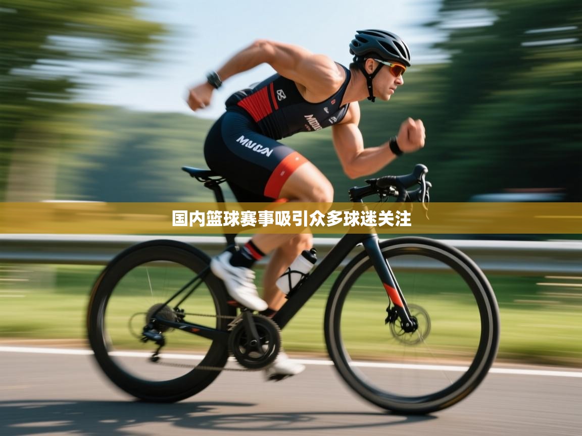 国内篮球赛事吸引众多球迷关注 第1张